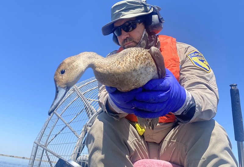 rescue worker holding large bird
